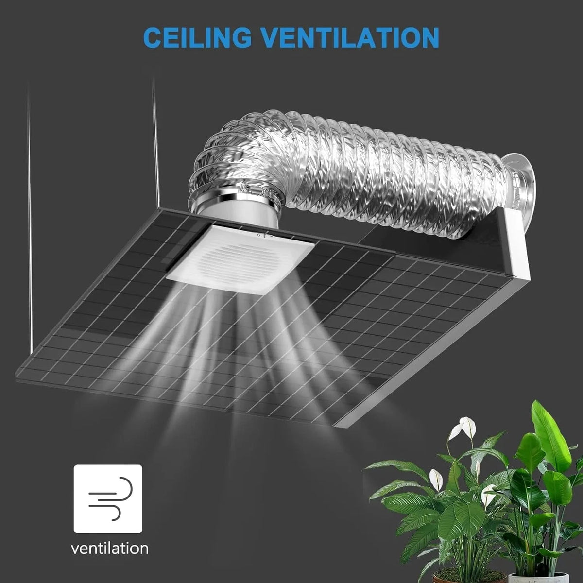 150-mm-Wall-Fan_3-2.webp